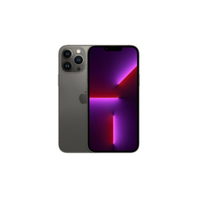 OpenBox / iPhone 13 Pro Max / 256gb