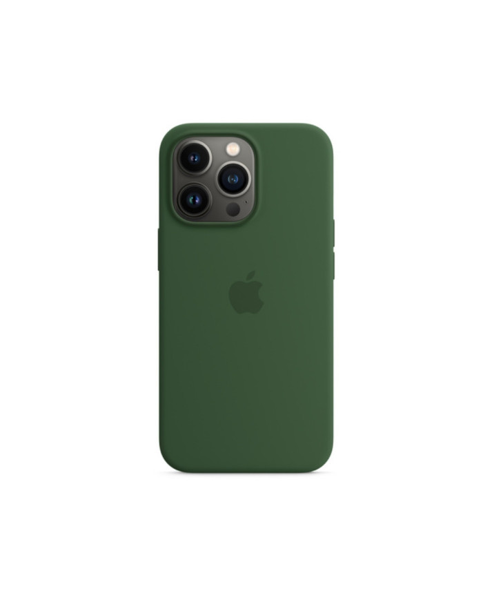 Case color iPhone 13 Pro Max